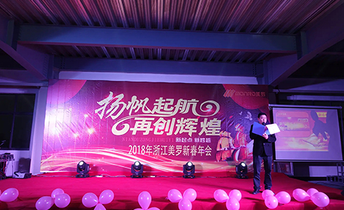 Annual company activity of 2017