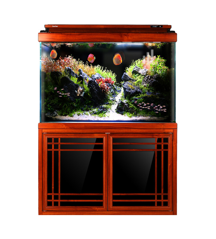 Какой размер аквариума нужен для разных видов рыб?