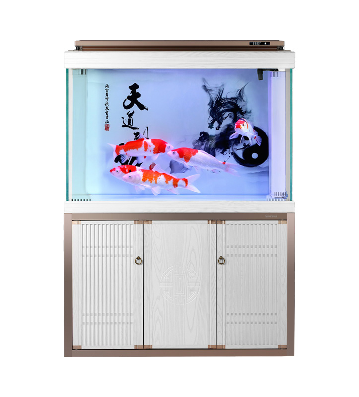 На какие ключевые особенности следует обращать внимание в аквариумных аквариумах?