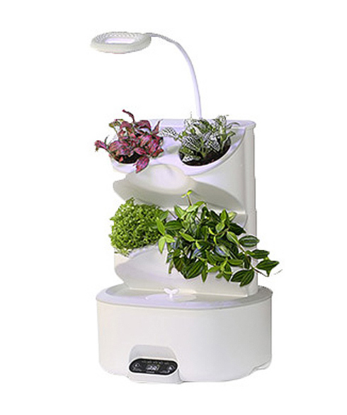 Завод Стена