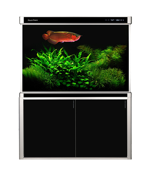 Большой Аквариум