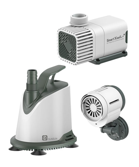 Сяоли Сансун