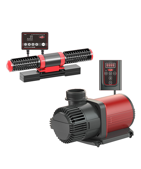 Сенсен Жижень