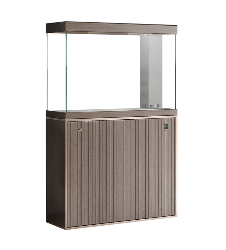 Как освещение влияет на аквариумные рыбки и здоровье рыб?